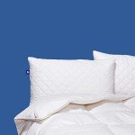 Canadian Down & Feather Co. - 2 Pack Medium Support Quilted White Goose Feather Pillow Queen Size - 255 TC Shell 100% Cotton - Filled in Canada