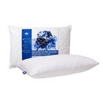 Canadian Down & Feather Co. - Medium Support Quilted White Goose Feather Pillow Standard Size - 255 TC Shell 100% Cotton - Filled in Canada