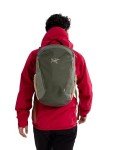 Arc'teryx Mantis 26 Backpack | Highly Versatile 26L Daypack, Tatsu/Forage, One Size, Mantis 26 Backpack