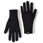 Arc'teryx Gothic Glove | Touch Screen Compatible Merino Wool Glove | Black, Medium