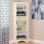 Prepac Elite 72" Tall Corner Cabinet Storage with 2 Doors, Wood Bathroom Storage with 3 Adjustable Shelves, Free Standing Corner Pantry Cabinet Suitable for Kitchen, Entryway, Bathroom, White