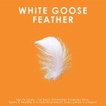 Canadian Down & Feather Co. - Firm Support White Goose Feather Pillow Queen Size - 255 TC Shell 100% Cotton - Filled in Canada