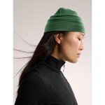 Arc'teryx Merino Wool Lightweight Beanie - Eden