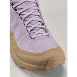 Arc'teryx Aerios FL 2 Mid GTX Shoe Women's | Fast and Light Gore-Tex Hiking Shoe, Velocity/Canvas, 8