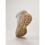 Arc'teryx Aerios FL 2 Mid GTX Shoe Women's | Fast and Light Gore-Tex Hiking Shoe, Velocity/Canvas, 8