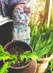 Watson Gloves' Homegrown You Grow Girl Sustainable Gardening Gloves - Water-Resistant Leather Palm, Recycled Spandex Back