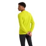 Arc'teryx Men's Rho LT Crew Neck Base Layer