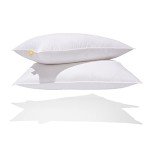 Canadian Down & Feather Co. - 2 Pack Medium Support Down Perfect White Feather & Down Pillow Queen Size - 240 TC Shell - Oeko TEX Certified