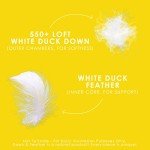 Canadian Down & Feather Co. - 2 Pack Medium Support Down Perfect White Feather & Down Pillow Queen Size - 240 TC Shell - Oeko TEX Certified