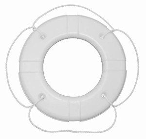 Taylor Made Products 367 USCG Approved Foam Life Ring (24", White)