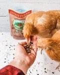 LITTLE FARMER PRODUCTS Chicken Fun-DOO Non-GMO, Soy-Free Chicken Treat | Premium Poultry Mealworm, Vegetable & Herb Mix (5 lbs)