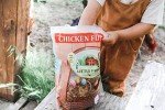 LITTLE FARMER PRODUCTS Chicken Fun-DOO Non-GMO, Soy-Free Chicken Treat | Premium Poultry Mealworm, Vegetable & Herb Mix (5 lbs)