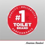 GROHE 39602000 Rapid SLX 2” x 6” in-Wall Carrier for Toilet, 2x6, No Finish