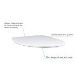 GROHE 39898000 BAU Toilet Seat Soft Close, Alpine White