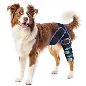 RUXAN Dog Knee Brace, Dog Leg Braces for Back Leg for Support, ACL Hind Leg Cruciate Ligament Knee Brace for Dogs Rear Leg with Torn ACL Keep The Joint Pain and Muscle Sore-L