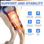 RUXAN Dog Knee Brace, Dog Leg Braces for Back Leg for Support, ACL Hind Leg Cruciate Ligament Knee Brace for Dogs Rear Leg with Torn ACL Keep The Joint Pain and Muscle Sore-L