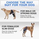 RUXAN Dog Knee Brace, Dog Leg Braces for Back Leg for Support, ACL Hind Leg Cruciate Ligament Knee Brace for Dogs Rear Leg with Torn ACL Keep The Joint Pain and Muscle Sore-L