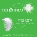 Canadian Down & Feather Co. - 2 Pack Medium Support Down Perfect Pillow Standard Size - 255 TC Shell 100% Cotton - Filled in Canada