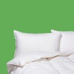 Canadian Down & Feather Co. - 2 Pack Medium Support Down Perfect Pillow Standard Size - 255 TC Shell 100% Cotton - Filled in Canada