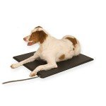 K&H Pet Products Lectro-Kennel Outdoor Heated Pad with Free Cover Black Medium 16.5 X 22.5 Inches 60 Watts