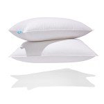 Canadian Down & Feather Co. - 2 Pack Soft Support White Goose Down Pillow Queen Size - 260 TC Shell 100% Cotton - Filled in Canada