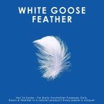 Canadian Down & Feather Co. - Soft Support Quilted White Goose Feather Pillow King Size - 255 TC Shell 100% Cotton - Filled in Canada