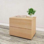 Nexera James Nightstand with 2-Drawers, Tan, 24-Inch