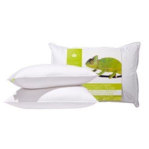 Canadian Down & Feather Co. - 2 Pack Firm Support Hutterite Down Perfect Pillow Standard Size - 400 TC Shell 100% Cotton - Made in Canada