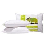 Canadian Down & Feather Co. - 2 Pack Firm Support Hutterite Down Perfect Pillow Standard Size - 400 TC Shell 100% Cotton - Made in Canada