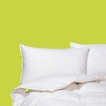Canadian Down & Feather Co. - 2 Pack Firm Support Hutterite Down Perfect Pillow Standard Size - 400 TC Shell 100% Cotton - Made in Canada