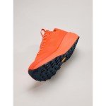 Arc'teryx Norvan LD 3 GTX Shoe Men's | Long Distance Gore-Tex Trail Running Shoe - Redesign, Solaris/Solaris, 8.5