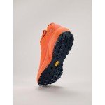 Arc'teryx Norvan LD 3 GTX Shoe Men's | Long Distance Gore-Tex Trail Running Shoe - Redesign, Solaris/Solaris, 8.5