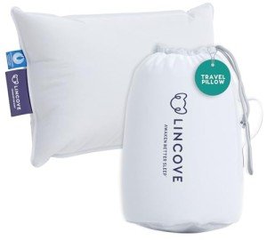Lincove Canadian Down Feather Travel Pillow - Luxury Pillows to Support Head, Neck, While Sleeping on Airplanes, Cars, Hotels & Home - Comfortable Vacation Sleeping Essential, 13"x18"