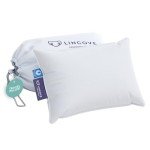 Lincove Canadian Down Feather Travel Pillow - Luxury Pillows to Support Head, Neck, While Sleeping on Airplanes, Cars, Hotels & Home - Comfortable Vacation Sleeping Essential, 13"x18"