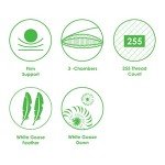 Canadian Down & Feather Co. - Down Perfect Pillow - 255 TC Shell 100% Cotton - Filled in Canada (Firm Support - Queen Size)