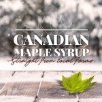 Brien 100% Pure Maple Syrup | Gluten Free Vegan Syrup | Maple Syrup Bottle | Real Maple Syrup Product From Canada | Leone Bottle 250ml / 8.4 Ounces (Pack of 2)