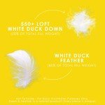 Canadian Down & Feather Co. - Regular Weight White Feather & Down Duvet Twin Size - 240 TC Shell 100% Cotton - Oeko TEX Certified