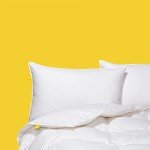 Canadian Down & Feather Co. - Regular Weight White Feather & Down Duvet Twin Size - 240 TC Shell 100% Cotton - Oeko TEX Certified