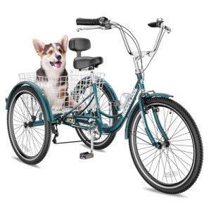 Barbella 3-Wheel Electric Bike for Seniors