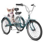Barbella 3-Wheel Electric Bike for Seniors