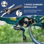 Barbella 3-Wheel Electric Bike for Seniors