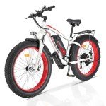 SENADA Fat Tire Electric Bike - 1000W Motor 48V 17.5Ah