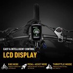 Heybike Race Max 500W Electric Mountain Bike