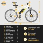 Heybike Race Max 500W Electric Mountain Bike