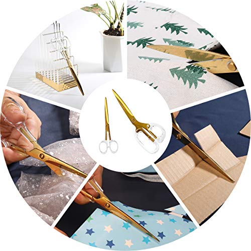 Clear & Gold Acrylic Scissors Set - 2 Pieces