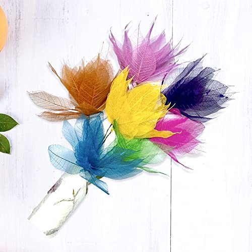 100 Pcs Natural Skeleton Leaves for DIY Scrapbooking