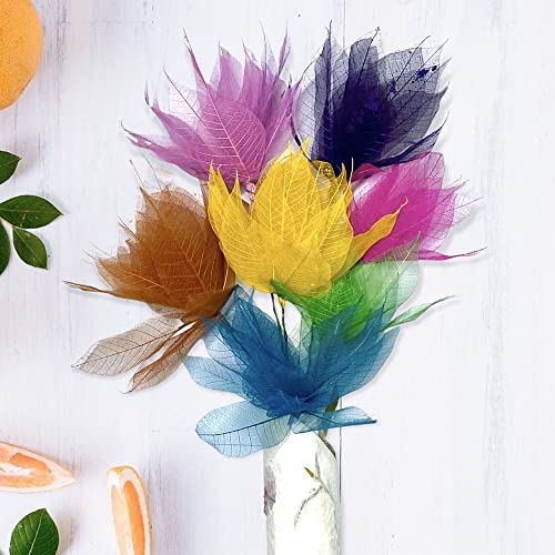100 Pcs Natural Skeleton Leaves for DIY Scrapbooking