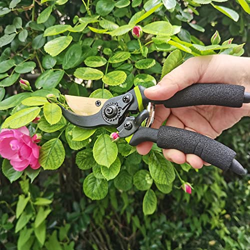 3-Piece Hedge Shears and Trimmers Set