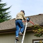 Mr IRONSTONE Ladder Stabilizer for Roof & Walls