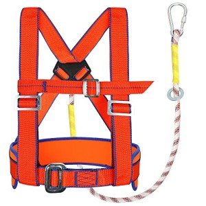 Safety Harness Kit with 6 ft Lanyard